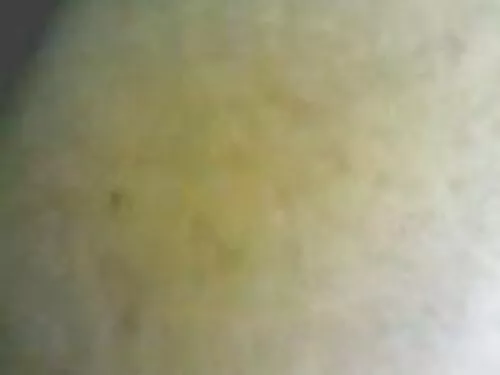 லோன்லி ஆசியர்கள் கவர ...