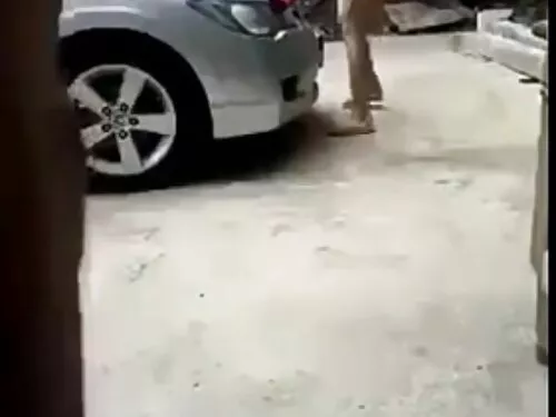 கருப்பு ஹேர்டு குஞ்ச ...