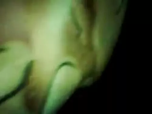 கவர்ச்சியான முலாட்டோ ...