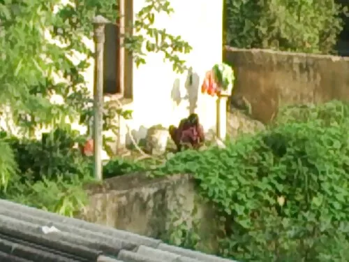 கருப்பு பிச் ஒரு அதி ...
